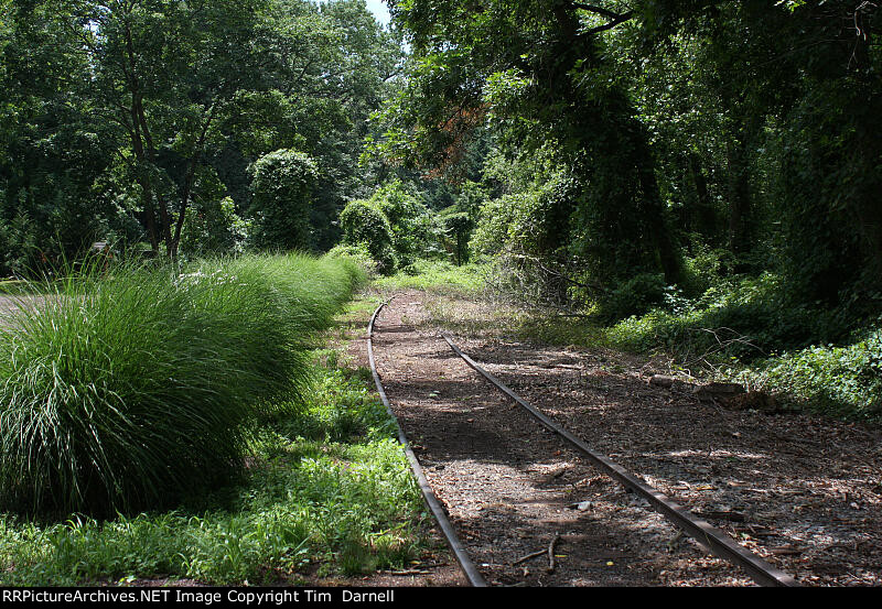 Newtown Line